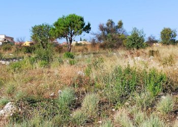 Non correlato - Building land VIA GIOVANNI PASCOLI
 
4, Melilli - photo 8