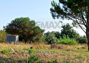 Giardino - Building land VIA GIOVANNI PASCOLI
 
4, Melilli - photo 9