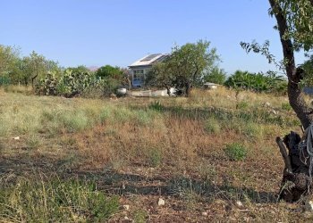 Giardino - Building land VIA GIOVANNI PASCOLI
 
4, Melilli - photo 10