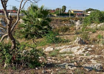 Giardino - Building land VIA GIOVANNI PASCOLI
 
4, Melilli - photo 3