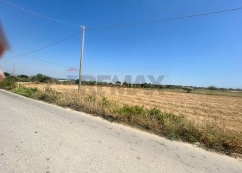 Non correlato - Agricultural land Pachino - photo 6