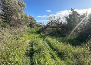 Vista delle montagne - Rustico Cda San Lorenzo, Noto - foto 14