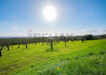 Giardino - Villa Contrada Cacarozzo, Avola - foto 32