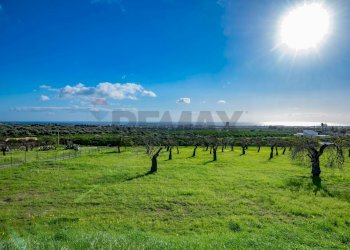 Giardino - Villa Contrada Cacarozzo, Avola - foto 49