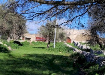 Giardino - Rustico C.da Commaldo Superiore, Rosolini - foto 3