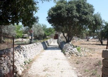 Giardino - Rustico C.da Commaldo Superiore, Rosolini - foto 5