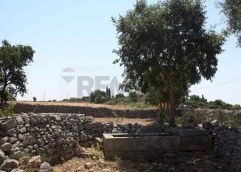 Giardino - Rustico C.da Commaldo Superiore, Rosolini - foto 6