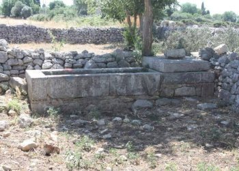 Giardino - Rustico C.da Commaldo Superiore, Rosolini - foto 7