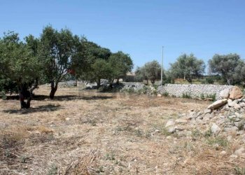 Giardino - Rustico C.da Commaldo Superiore, Rosolini - foto 9