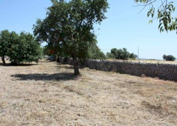 Giardino - Rustico C.da Commaldo Superiore, Rosolini - foto 11