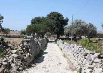 Giardino - Rustico C.da Commaldo Superiore, Rosolini - foto 12