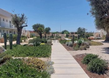 Giardino - Trilocale BORGO 84/CONTRADA CALAFARINA
 
SN, Pachino - foto 6