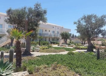 Giardino - Trilocale BORGO 84/CONTRADA CALAFARINA
 
SN, Pachino - foto 12