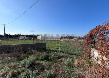 Giardino - Agricultural land Pachino - photo 5