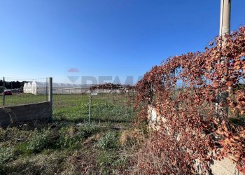 Edificio all\'aperto - Agricultural land Pachino - photo 6