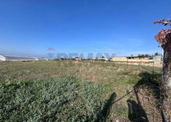 Edificio all\'aperto - Agricultural land Pachino - photo 7