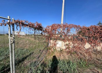 Vista delle montagne - Agricultural land Pachino - photo 8
