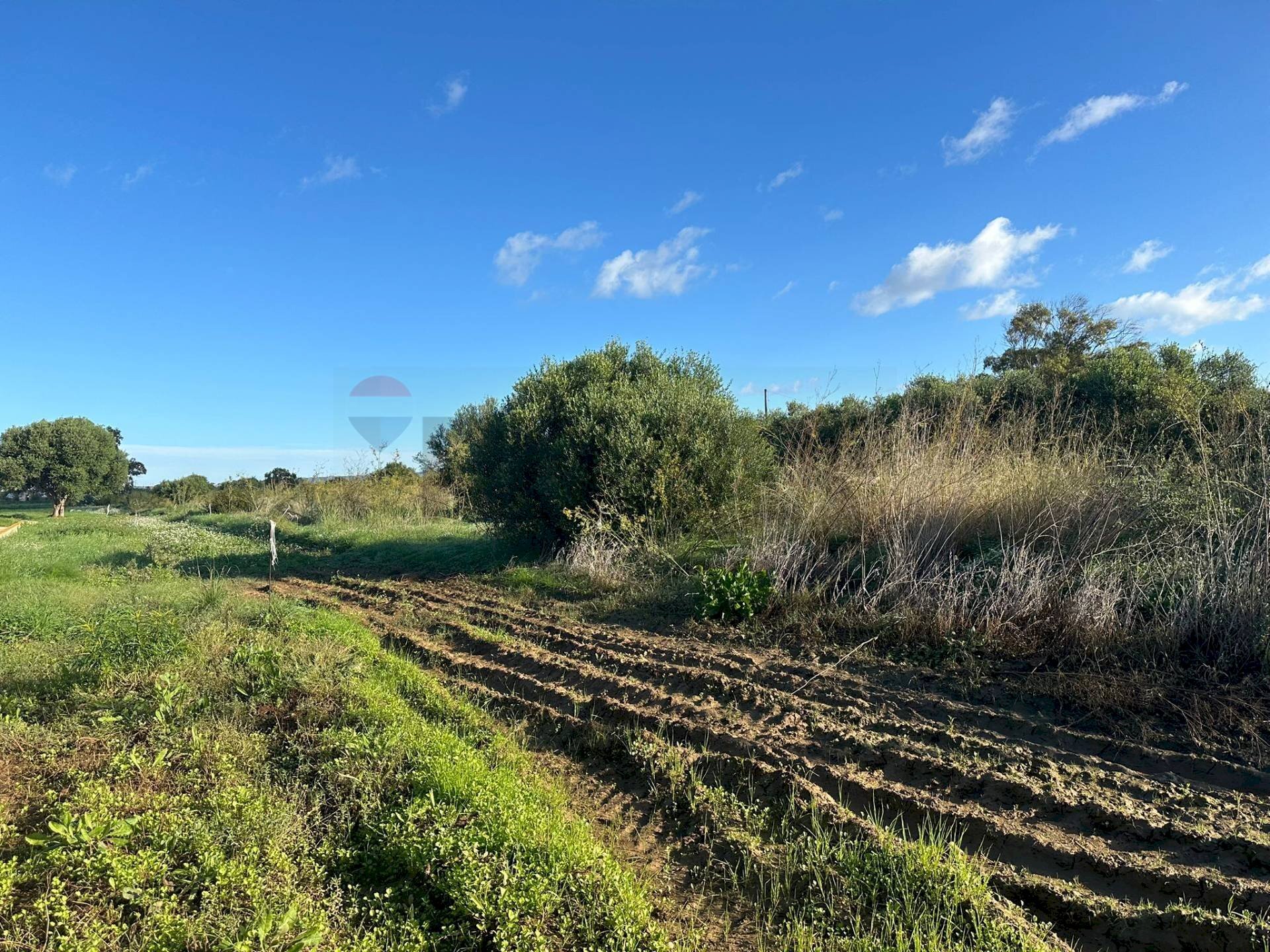 Giardino - Agricultural land Contrada Pipitona, Portopalo di Capo Passero - photo 2