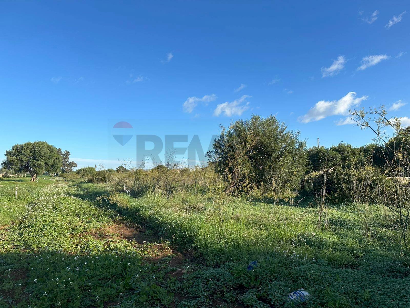 Giardino - Agricultural land Contrada Pipitona, Portopalo di Capo Passero - photo 3