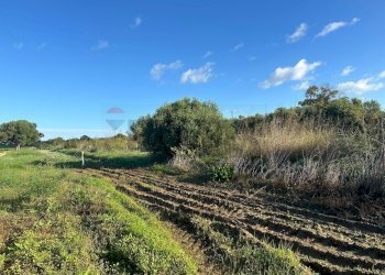 Giardino - Terreno agricolo Contrada Pipitona, Portopalo di Capo Passero - foto 2