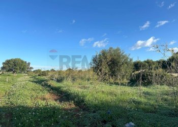 Giardino - Terreno agricolo Contrada Pipitona, Portopalo di Capo Passero - foto 3