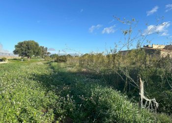Giardino - Terreno agricolo Contrada Pipitona, Portopalo di Capo Passero - foto 4