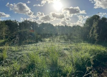 Non correlato - Terreno agricolo Contrada Pipitona, Portopalo di Capo Passero - foto 5