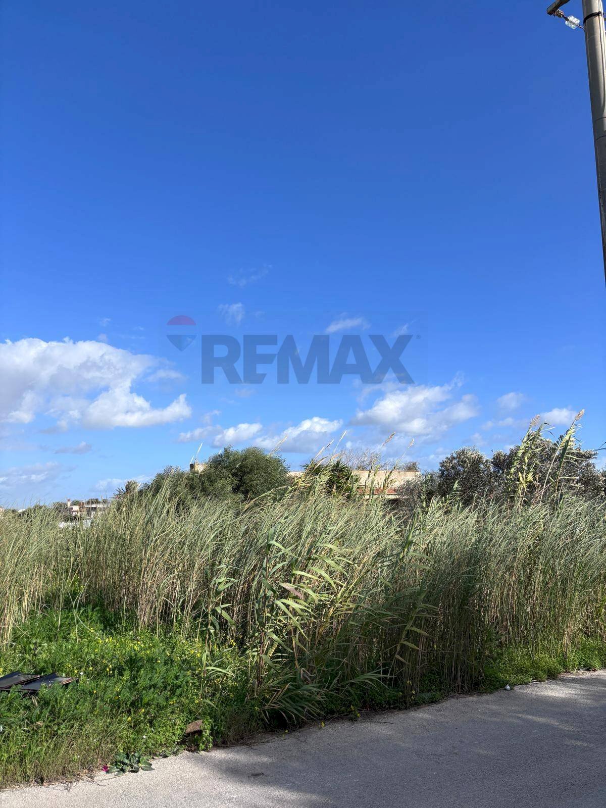 Vista delle montagne - Agricultural land P23C+7H4 Granelli, Libero consorzio comunale di Siracusa, Pachino - photo 3