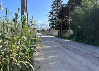 Edificio all\'aperto - Agricultural land P23C+7H4 Granelli, Libero consorzio comunale di Siracusa, Pachino - photo 1