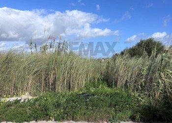 Vista delle montagne - Agricultural land P23C+7H4 Granelli, Libero consorzio comunale di Siracusa, Pachino - photo 9