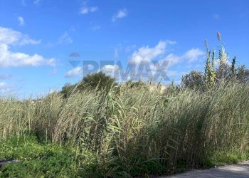Vista delle montagne - Agricultural land P23C+7H4 Granelli, Libero consorzio comunale di Siracusa, Pachino - photo 10