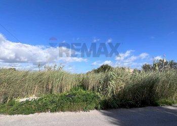 Vista delle montagne - Agricultural land P23C+7H4 Granelli, Libero consorzio comunale di Siracusa, Pachino - photo 12