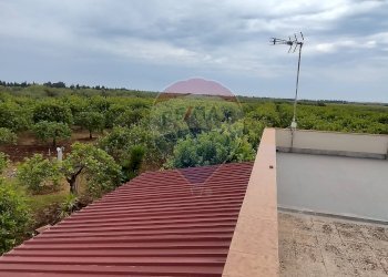 Terrazza - Casa indipendente Noto - foto 8