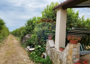 Giardino - Casa indipendente Noto - foto 20