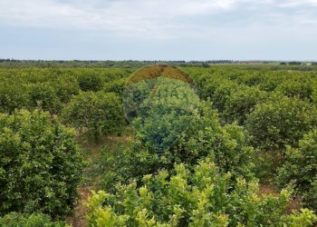 Casa all\'aperto - Casa indipendente Noto - foto 39