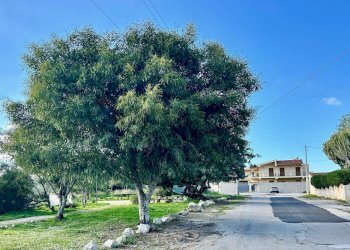 Giardino - Appartamento VIA LAGO DI VARESE
 
11, Siracusa - foto 29