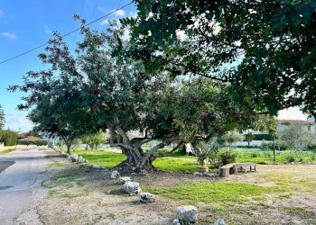 Giardino - Appartamento VIA LAGO DI VARESE
 
11, Siracusa - foto 30