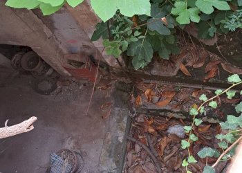 Dettagli - Casa indipendente Via Magenta
 
166, Canicattini Bagni - foto 35