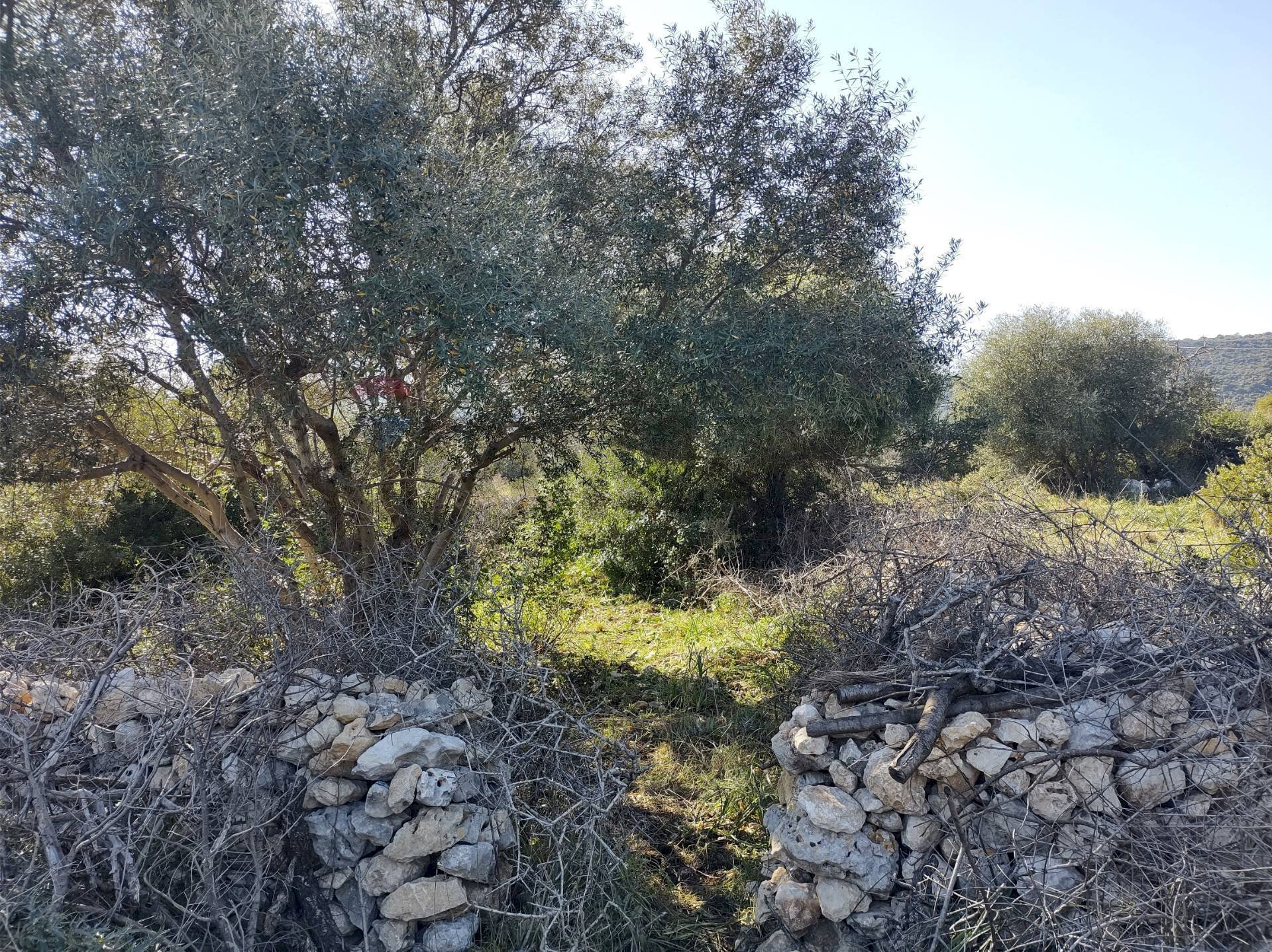 terreno - Terreno agricolo Priolo Gargallo - foto 2