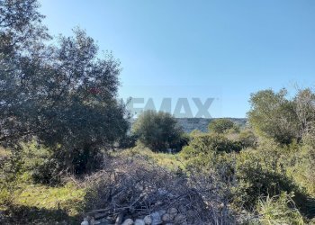 terreno - Terreno agricolo Priolo Gargallo - foto 1