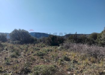 terreno - Terreno agricolo Priolo Gargallo - foto 5