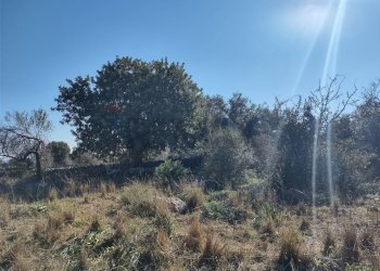 terreno - Terreno agricolo Priolo Gargallo - foto 6