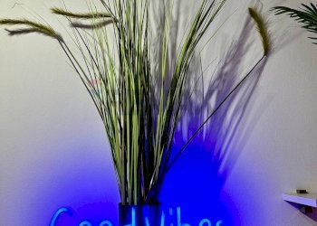 Dettagli - Appartamento Pavia - foto 14