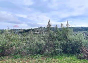 terreno - Villa Contrada Costella
 
SNC, Vieste - foto 25