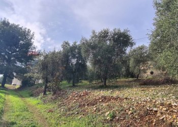 terreno - Villa Contrada Costella
 
SNC, Vieste - foto 26