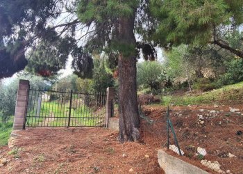 terreno - Villa Contrada Costella
 
SNC, Vieste - foto 27