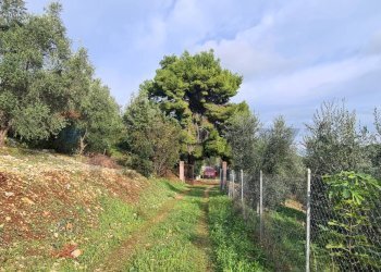 terreno - Villa Contrada Costella
 
SNC, Vieste - foto 28