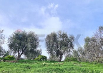 terreno - Villa Contrada Costella
 
SNC, Vieste - foto 29