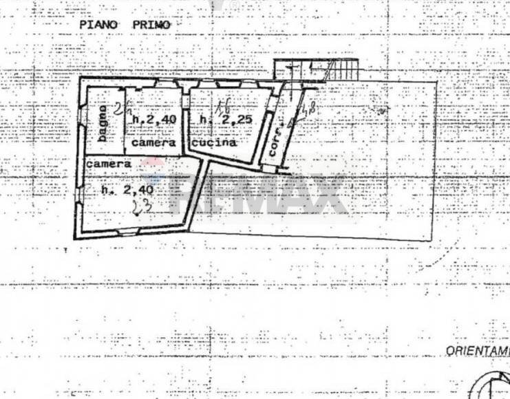 Pianta 2D - Rustico Langhirano - planimetria 1