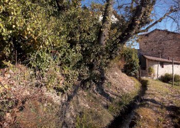 Giardino - Rustico Langhirano - foto 35